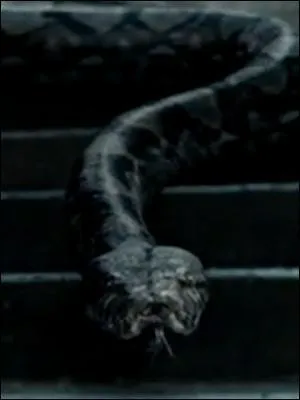 De quoi JK. Rowling s'est-elle inspire pour crer le nom du serpent de Voldemort, Nagini ?