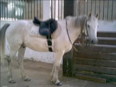 Comment s'appelle ce p'tit chou ?