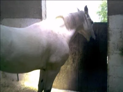  votre avis, quel ge a-t-il ?