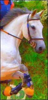 Quelles sont ses plus grandes facilits ?