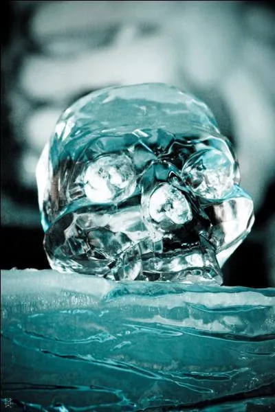 Un crne est reprsent :