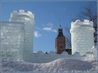 Qu'est-il reprsent sur l'image ?