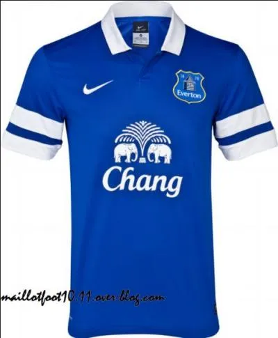  quelle quipe appartient ce maillot ?