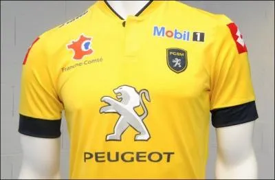  quelle quipe appartient ce maillot ?