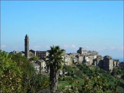 Dans quel dpartement se situe le merveilleux village perch de Venzolasca ?