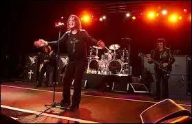 Quel groupe vous voque le titre  Wicked World  ?