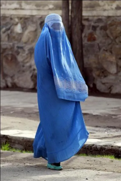  Bien que Dieu soit tout puissant, il n'envoie pas la pluie quand le ciel est bleu.  Voici un proverbe...