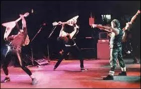 Quel est ce groupe  qui appartient le morceau  I'm a Rebel  ?