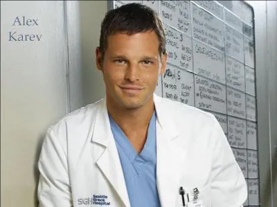 Qui joue Alex Karev ?