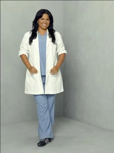 Qui interprte Sara Ramirez ?