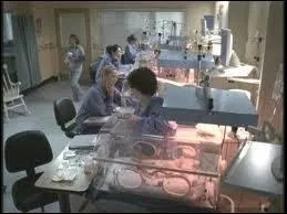 Dans la saison 2, pisode 11, Alex, Izzie, Meredith, Cristina et George doivent veiller sur des quintuples. Comment s'appelle la quintuple de George ?