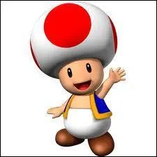 Les Toads ont-ils tous des champignons rouge et blanc sur la tte ?