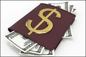 Quel est le budget total de ce film ?