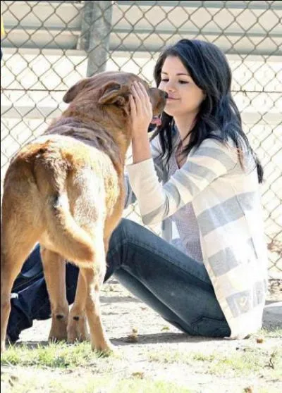 Quel est son animal prfr ?