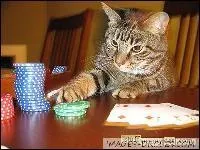 Entre nous, a joue carte sur table ! C'est une technique qui doit (en thorie) augmenter la probabilit de gagner  un jeu de hasard sans tricher :