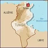 La Tunisie, comme ses voisins l'Algrie et la Libye, ne tolre qu'une seule langue officielle; c'est 