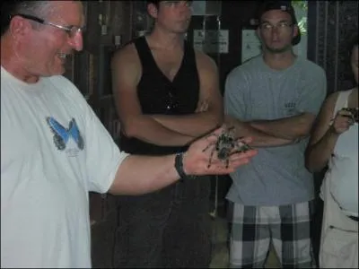 Dans ce restaurant parisien, le  Spider Lunch , place de la Bastille, vous pouvez dguster de la mygale grille !