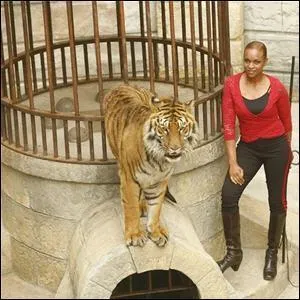 Combien de temps les candidats du fort ont-ils pour rcuprer les boyards de la salle du trsor avant le Conseil ?