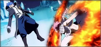 (Épisode 40) 
Pour vaincre Jellal, Natsu : 
(2 réponses)