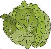 Quel est le pluriel de chou ?