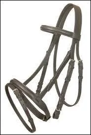 Quelle est la partie du filet qui passe derrire les oreilles ?