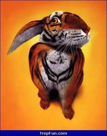 Quel prsident du Conseil des ministres franais tait surnomm  Le Tigre  ?