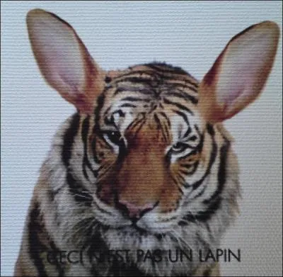 Le tigre est aussi une constellation obsolte :