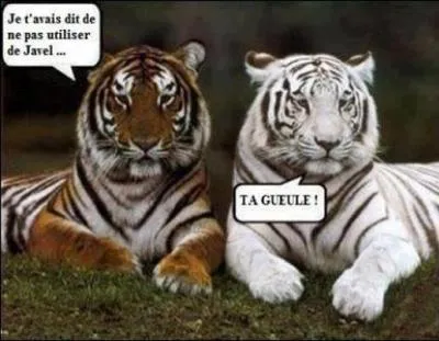 Combien de pays sont traverss par le fleuve Tigre ?