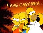 Quiz Simpson