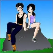 Sangohan se marie avec Videl.
