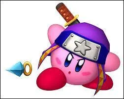 Quel est le nom de ce Kirby ?