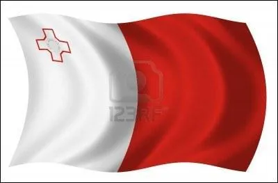 Le pays possdant ce drapeau s'appelle :