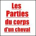 Quelles sont les 3 parties principales du corps d'un cheval ?