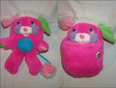 Quelle particularit ont-elles ?