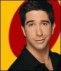En quelle anne, David devient-il Ross Geller, dans Friends, rle qui va faire de lui et des 5 autres acteurs principaux de vritables stars ?