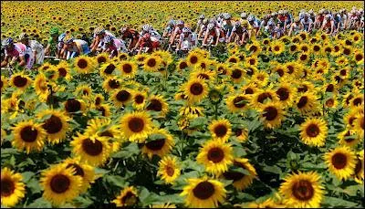Combien de tlspectateurs ont regard le tour de France ?