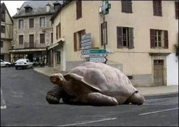 Poids ou pois ? Qui ramena le maillot blanc et le maillot  pois chez lui ?