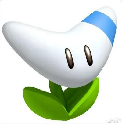 Quel est cet objet ?