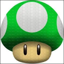 Quelle est cette image ?