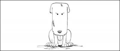 Épisode 6 - À Orange Town, quel genre d'établissement Chouchou le chien garde-t-il ?