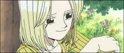 Épisode 9 - Usopp rend souvent visite à Kaya. 
Cochez les propositions qui la concernent.
(3 réponses)