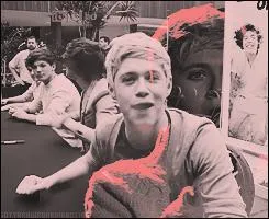 Quel animal aime-t-il ?