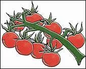 Ce n'est pas  raisin, vous vous tes tromps !