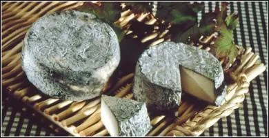 Quel est ce fromage dont le nom pourrait avoir rapport avec un sport questre ou cycliste ?