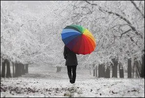 L'addition de toutes les couleurs de l'arc-en-ciel forme :