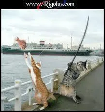 Vivre comme un poisson hors de l'eau ! Il s'agit d'une rivire du Lot :