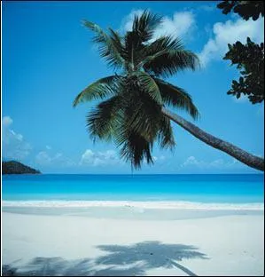 Pendant 8 ans, dans les les Saipan, la temprature n'est pas descendue en dessous de 20C :