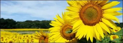 Comment se nomme le lieu o s'est pass le second moment le plus chaud du monde ?