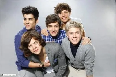 En une journe le clip Best Song Ever a atteint les ... de vues sur youtube