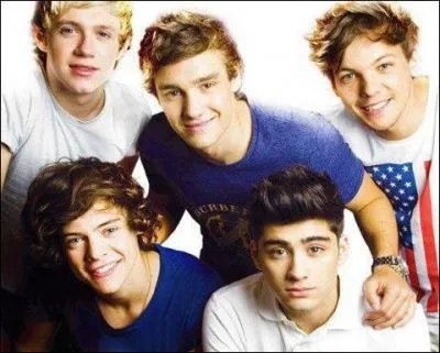 Quel surnom les garons ont-ils donn  Liam ?